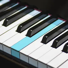 Скачать взлом Real Piano electronic keyboard (Риал Пиано)  [МОД Много денег] на Андроид