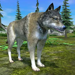 Скачать взлом Wolf Simulator - Animal Games [МОД Mega Pack] на Андроид