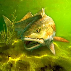 Скачать взлом My Fishing World (Мой рыболовный мир) [МОД Меню] на Андроид