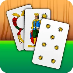 Скачать взлом Scopa - Italian Card Game (Скопа) [МОД Бесконечные монеты] на Андроид