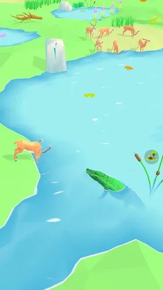 Animal Wildlife (Энимал Вайлдлайф)  [МОД Много монет] Screenshot 5