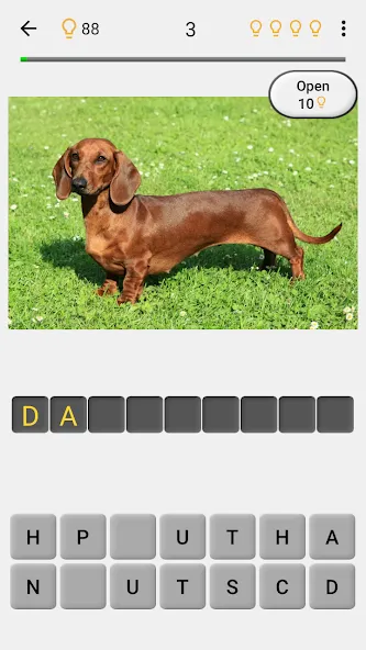 Dogs Quiz - Guess All Breeds!  [МОД Бесконечные деньги] Screenshot 2