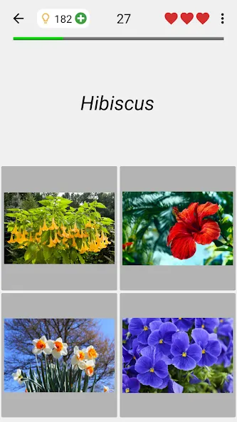 Flowers Quiz - Identify Plants  [МОД Бесконечные монеты] Screenshot 4