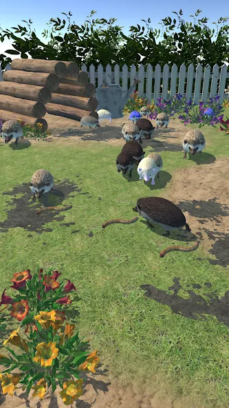 Hedgehog Friends (Хеджхог Френдс)  [МОД Unlimited Money] Screenshot 2