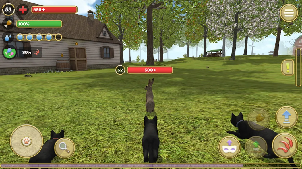 Cat Simulator : Kitties Family  [МОД Много денег] Screenshot 2