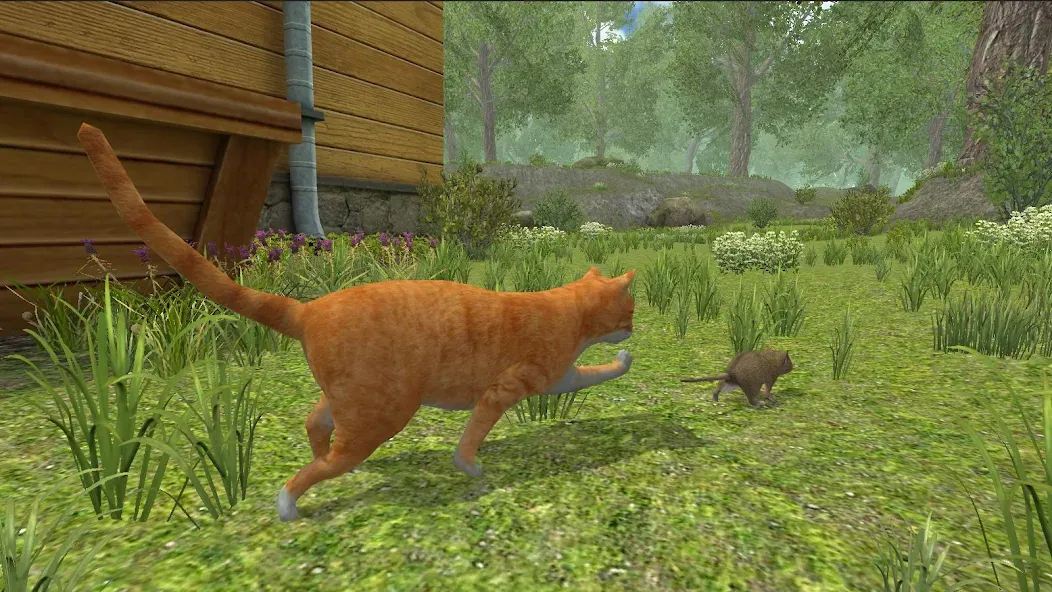 Mouse Simulator :  Forest Home  [МОД Много денег] Screenshot 3