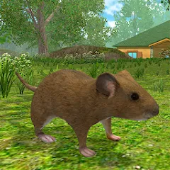 Скачать взлом Mouse Simulator : Forest Home [МОД Много денег] на Андроид