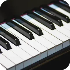 Скачать взлом Real Piano (Реал Пиано) [МОД Бесконечные монеты] на Андроид