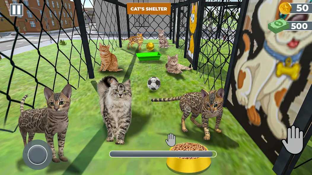 Animal Shelter: Pet Rescue 3D  [МОД Много денег] Screenshot 2