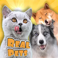 Скачать взлом Adopt a pet : Corgi Games (Риал Петс бай Фруви)  [МОД Menu] на Андроид