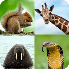 Скачать взлом Animal Quiz: Guess the Animal [МОД Много монет] на Андроид