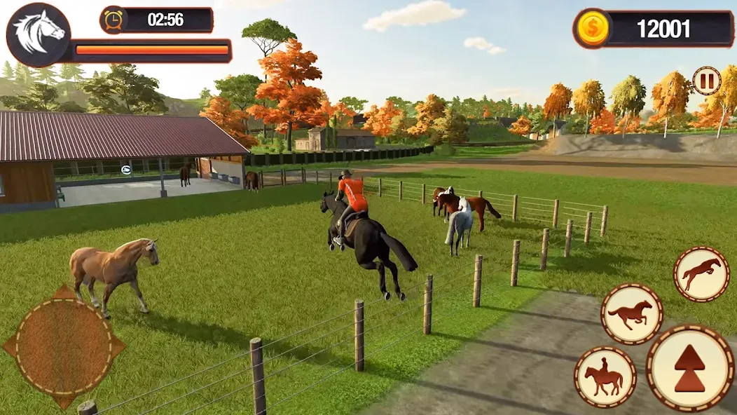 My Horse Herd Care Simulator (Мой симулятор ухода за стадом лошадей)  [МОД Все открыто] Screenshot 3