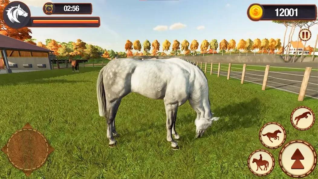 My Horse Herd Care Simulator (Мой симулятор ухода за стадом лошадей)  [МОД Все открыто] Screenshot 5