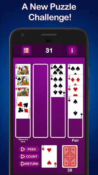 Puzzle Poker Joker's Wild  [МОД Бесконечные деньги] Screenshot 1