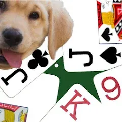 Скачать взлом K9 Euchre (К9 Юкер)  [МОД Бесконечные деньги] на Андроид