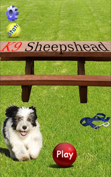 K9 Sheepshead (Schafkopf) (Шипсхед)  [МОД Бесконечные деньги] Screenshot 1