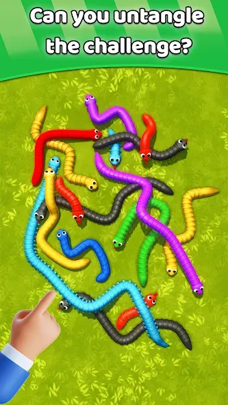 Tangled Snakes Puzzle Game (Танглед Снейк 3Д)  [МОД Mega Pack] Screenshot 5