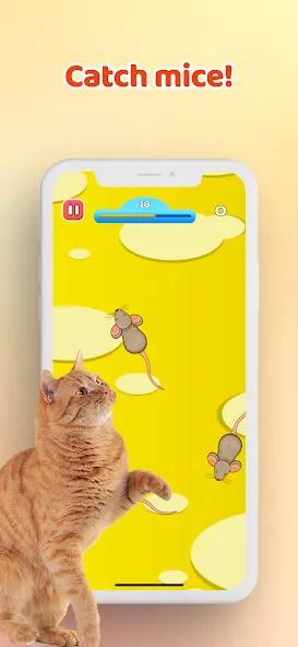 Games for Cat－Toy Mouse & Fish  [МОД Много монет] Screenshot 1