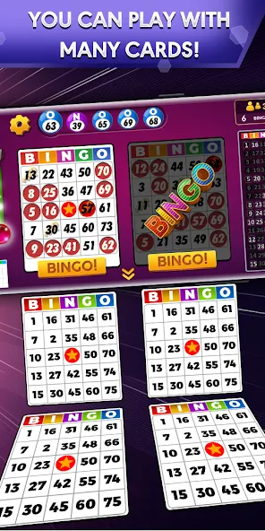 Bingo - Offline Bingo Game  [МОД Много денег] Screenshot 1