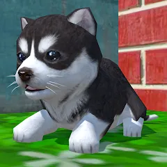 Скачать взлом Cute Pocket Puppy 3D (Сьют Покет Паппи 3Д)  [МОД Все открыто] на Андроид