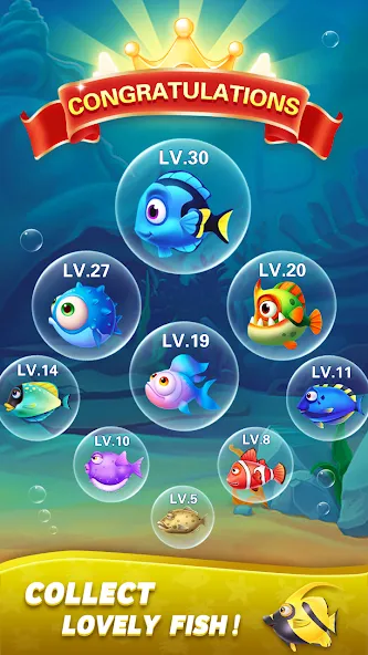 Block Ocean 1010 Puzzle Games (Блок Океан 1010 Головоломки)  [МОД Mega Pack] Screenshot 5