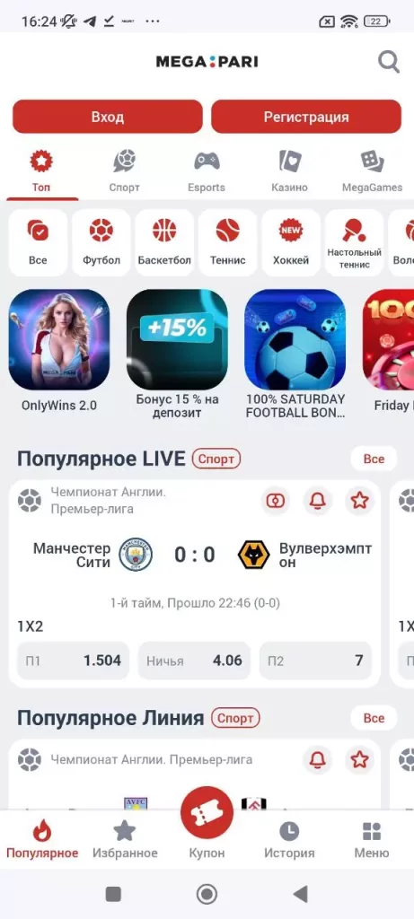 Интерфейс приложения мегапари